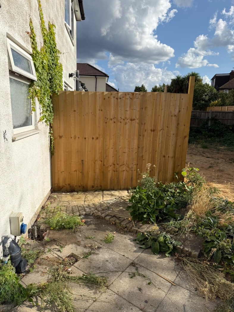 Side passage after ScapeClear completed the clearance